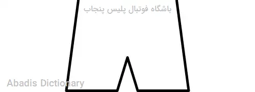 باشگاه فوتبال پلیس پنجاب